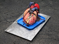 Fracked Human Heart